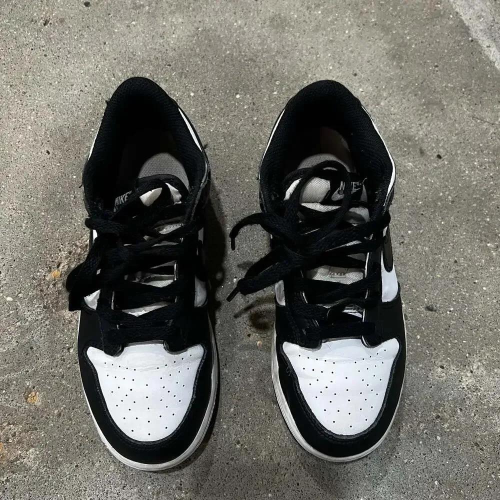 Nike dunk low
